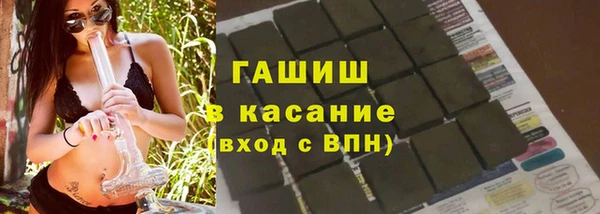 индика Беломорск