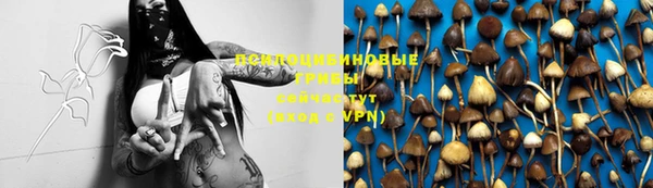 PSILOCYBIN Шали
