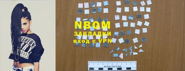 индика Беломорск
