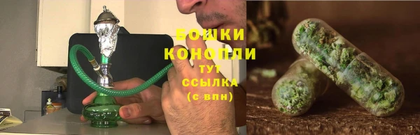 индика Беломорск