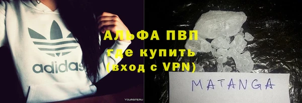 индика Беломорск
