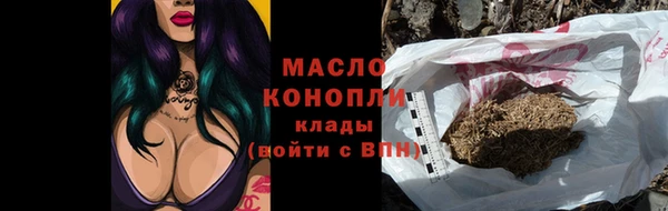 индика Беломорск