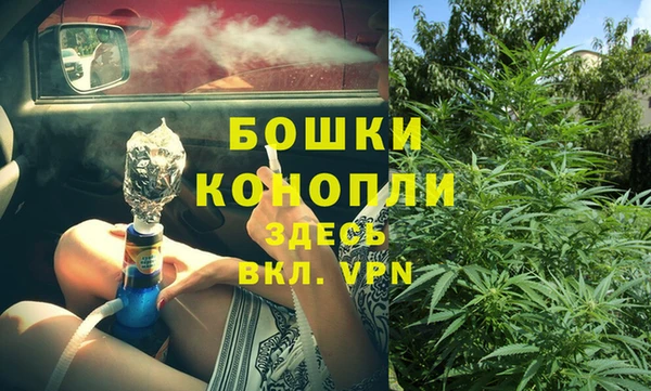 индика Беломорск
