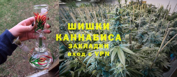индика Беломорск