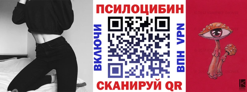 Галлюциногенные грибы Psilocybine cubensis  Улан-Удэ 