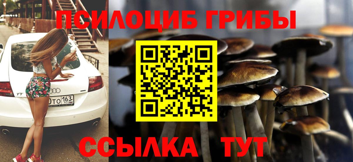 Галлюциногенные грибы Cubensis  где найти наркотики  Вход с VPN  Улан-Удэ  Галлюциногенные грибы GOLDEN TEACHER 